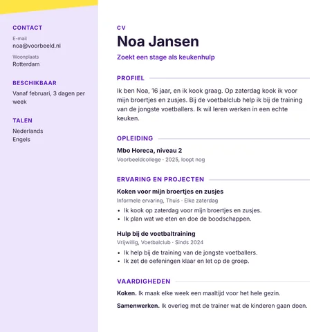 Voorbeeld van een cv uit de cv-bouwer, met profiel, ervaring en vaardigheden.
